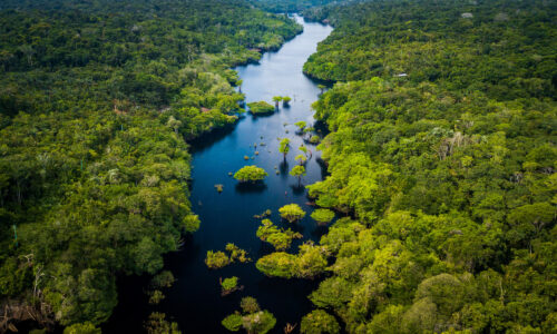 Amazonas Kreuzfahrt